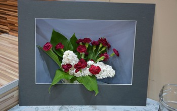  (photo)
