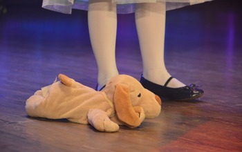  (photo)