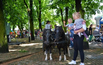  (photo)