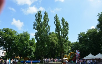  (photo)