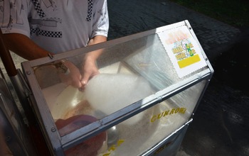  (photo)