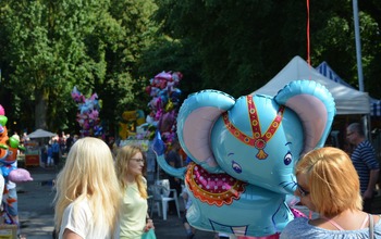  (photo)