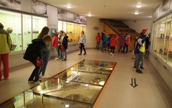  (photo)