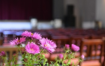 (photo)