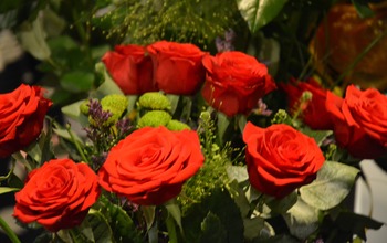 (photo)