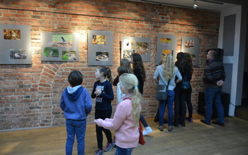 (photo)