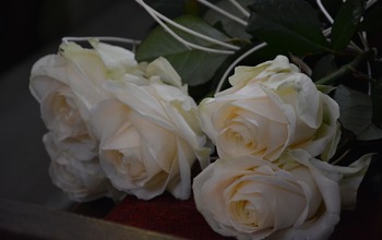 (photo)