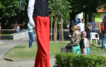  (photo)