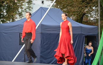  (photo)