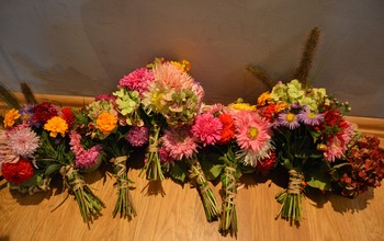 (photo)