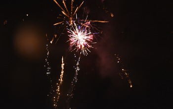  (photo)