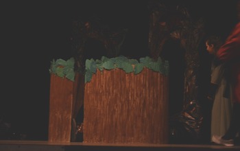 (photo)