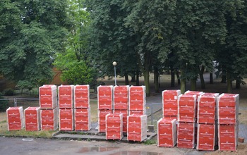  (photo)