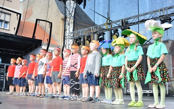  (photo)