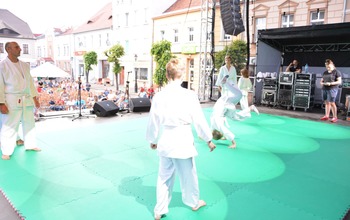  (photo)