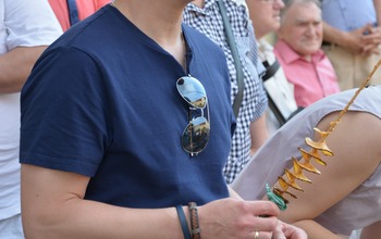  (photo)
