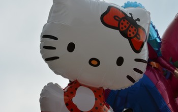  (photo)