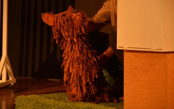 (photo)