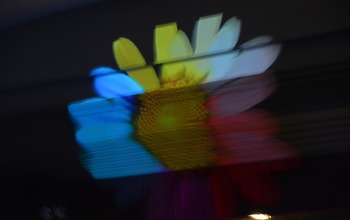 (photo)