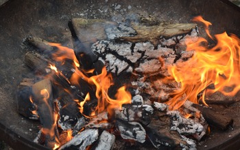 (photo)