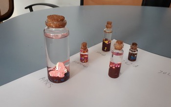  (photo)