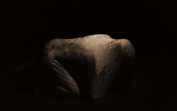 (photo)