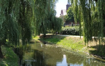  (photo)