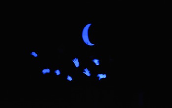 (photo)