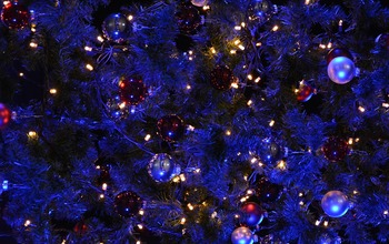  (photo)
