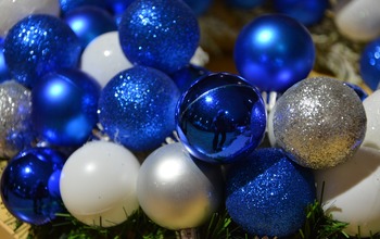  (photo)