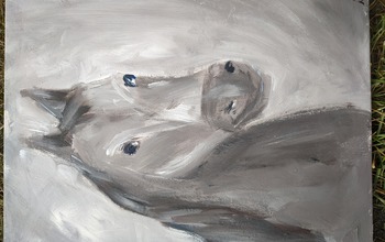 (photo)