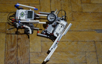  (photo)