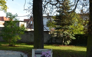  (photo)