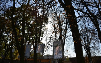(photo)