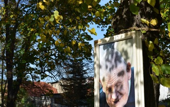 (photo)