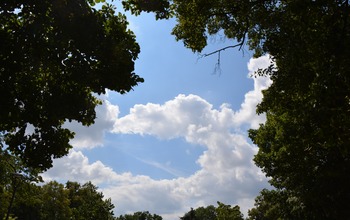 (photo)