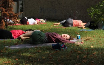 (photo)