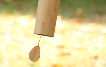 (photo)