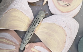 (photo)