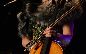 (photo)