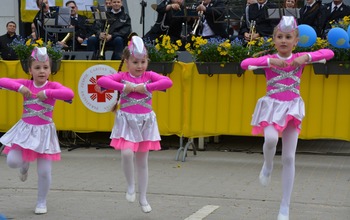 (photo)