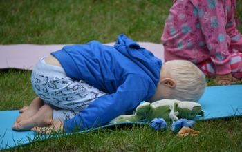  (photo)