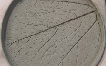 (photo)