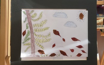 (photo)