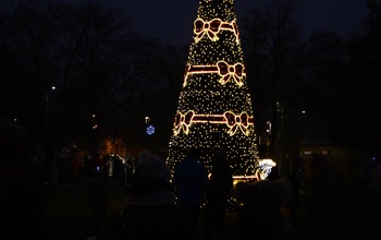 (photo)
