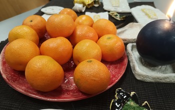 (photo)