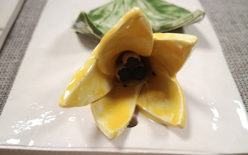 (photo)