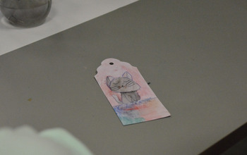 (photo)