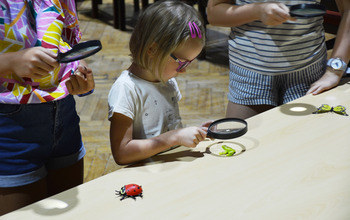 (photo)