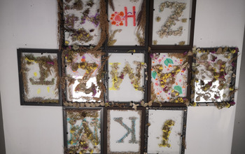  (photo)